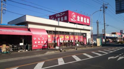 グランコート草加 周辺画像4