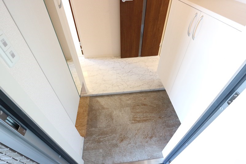 ロイジェントパークスレイクタウンⅢ　M 玄関