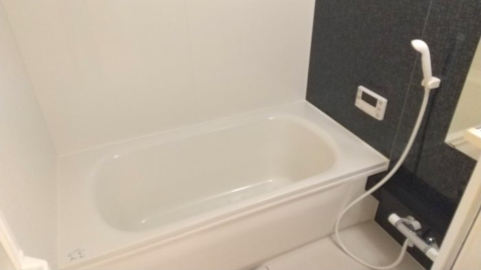 ロイジェントパークスレイクタウン　P 風呂画像