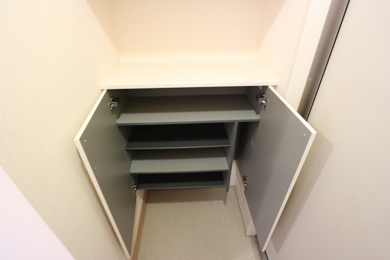 レイク藤和　Ａ その他18