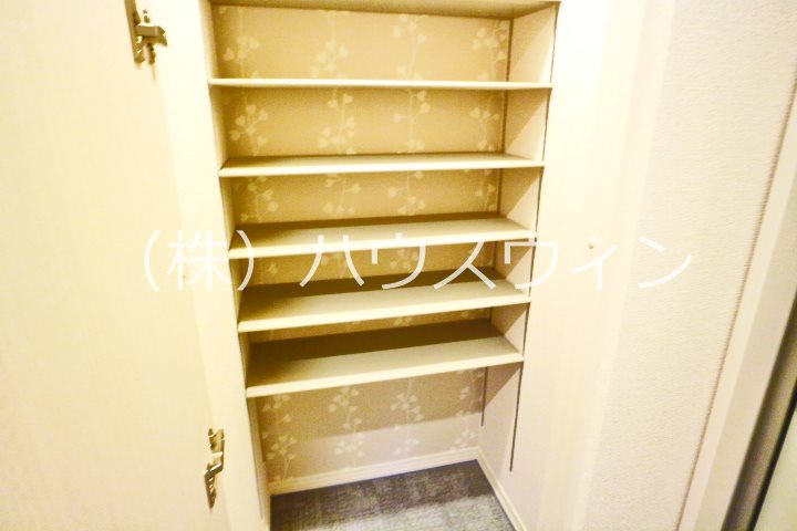 ロイジェントパークスレイクタウンⅢ　E 玄関