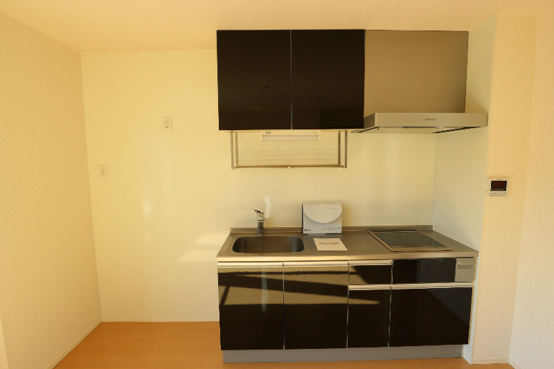 オルフェーヴル　A その他16