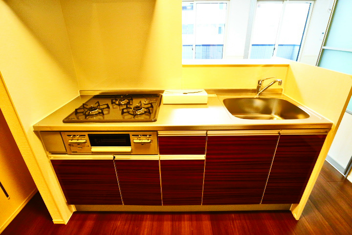 ロイジェントパークスレイクタウン　N その他16