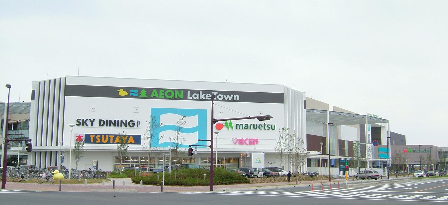 ロイジェントパークスレイクタウン　N 周辺画像9