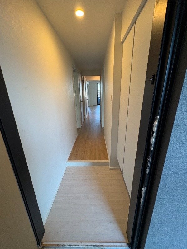 PJ ツリー ネスト その他3