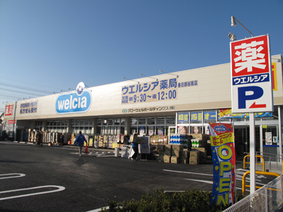 ウィスタリア春日部 周辺画像1