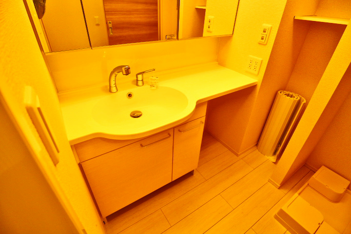 ロイジェントパークスレイクタウン　D その他1