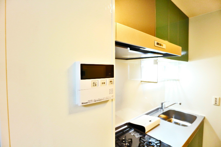 ロイジェントパークスレイクタウン　D その他15