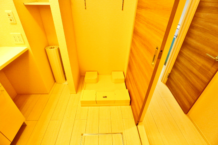 ロイジェントパークスレイクタウン　D その他23