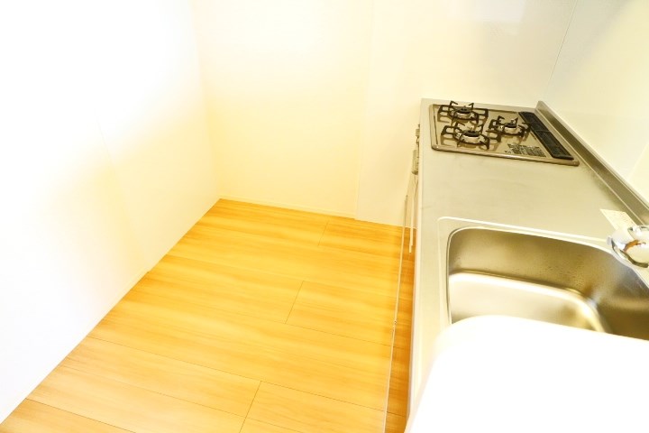 ロイジェントパークスレイクタウンⅢ　B その他21