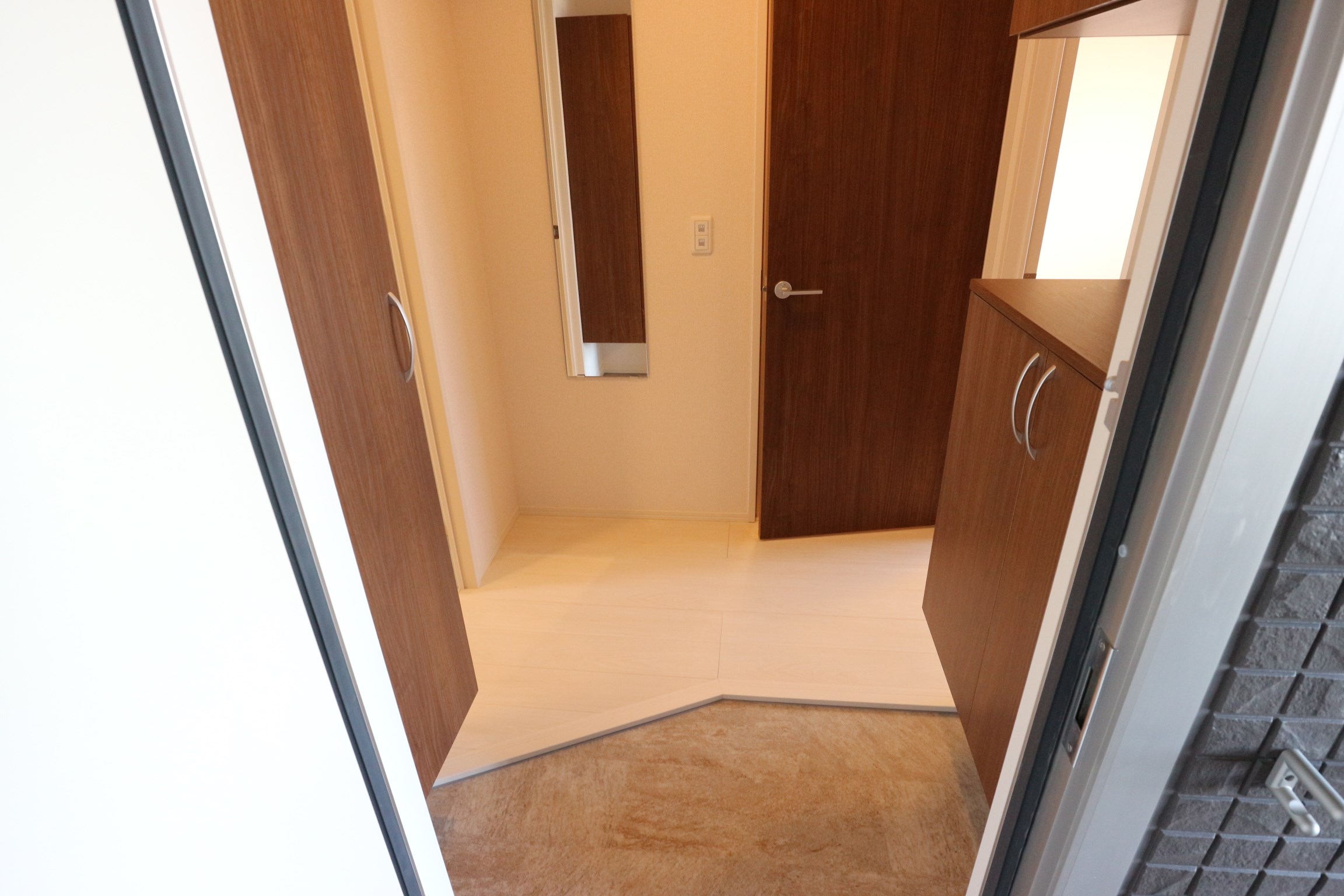 ロイジェントパークスレイクタウンⅢ　F 玄関