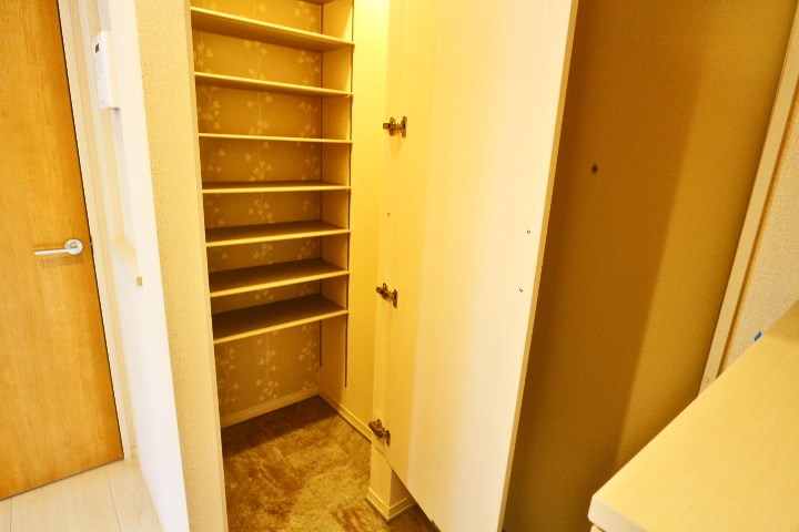 ロイジェントパークスレイクタウンⅡ　A その他20