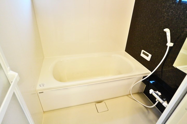 ロイジェントパークスレイクタウンⅡ　A 風呂画像