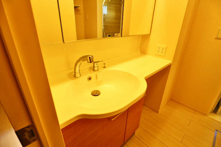 ロイジェントパークスレイクタウンⅢ　H その他2