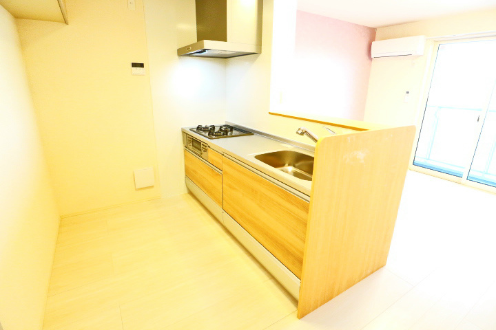 ロイジェントパークスレイクタウンⅢ　H その他24