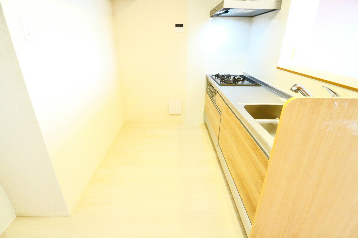 ロイジェントパークスレイクタウンⅢ　H その他25