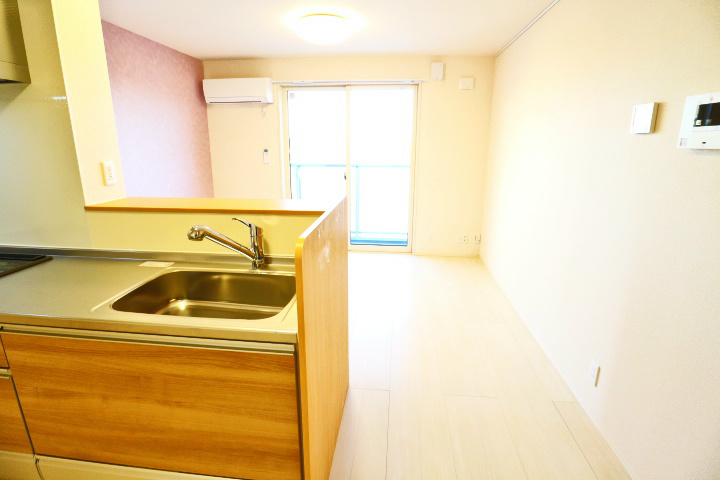 ロイジェントパークスレイクタウンⅢ　H その他26