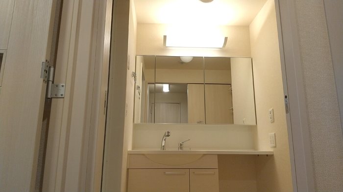 ロイジェントパークスレイクタウン　P その他1