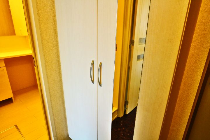 ロイジェントパークスレイクタウン　P 玄関