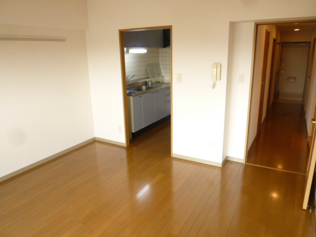 リュウ壱番館 リビング