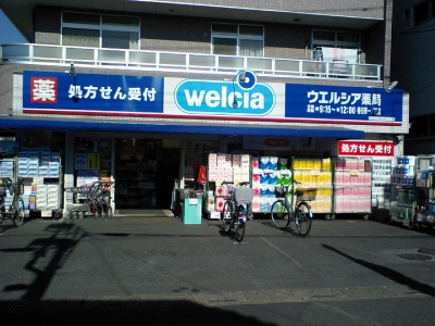 アークガーデン春日部 周辺画像2