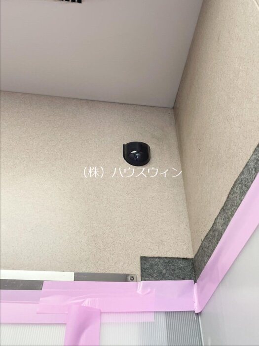 Freesia その他19