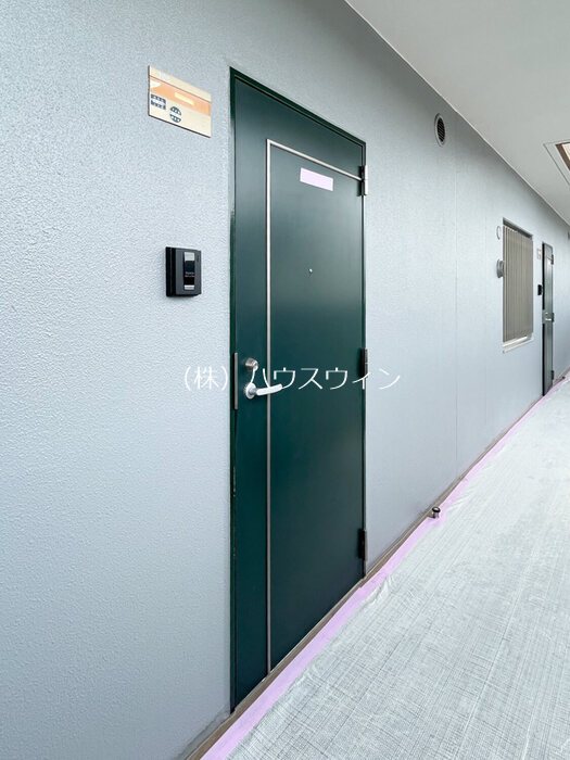 Freesia その他13
