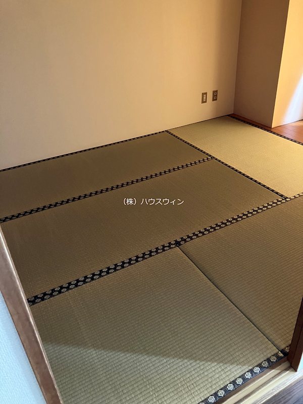 かさぷらた その他