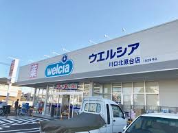 Kolet浦和美園 ドラッグストア