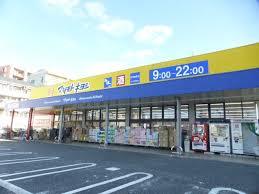 キャメル吉川スリジェ ドラッグストア