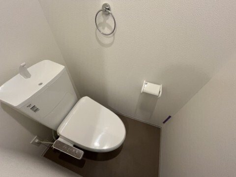 ジーメゾン豊春 トイレ
