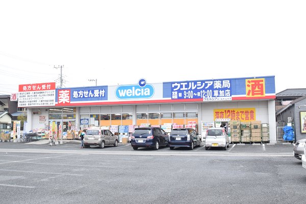 エル・フローラ ドラッグストア