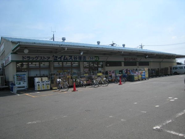シーガル ドラッグストア