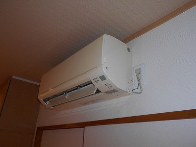 PINE&amp;#39;S HOUSE その他7
