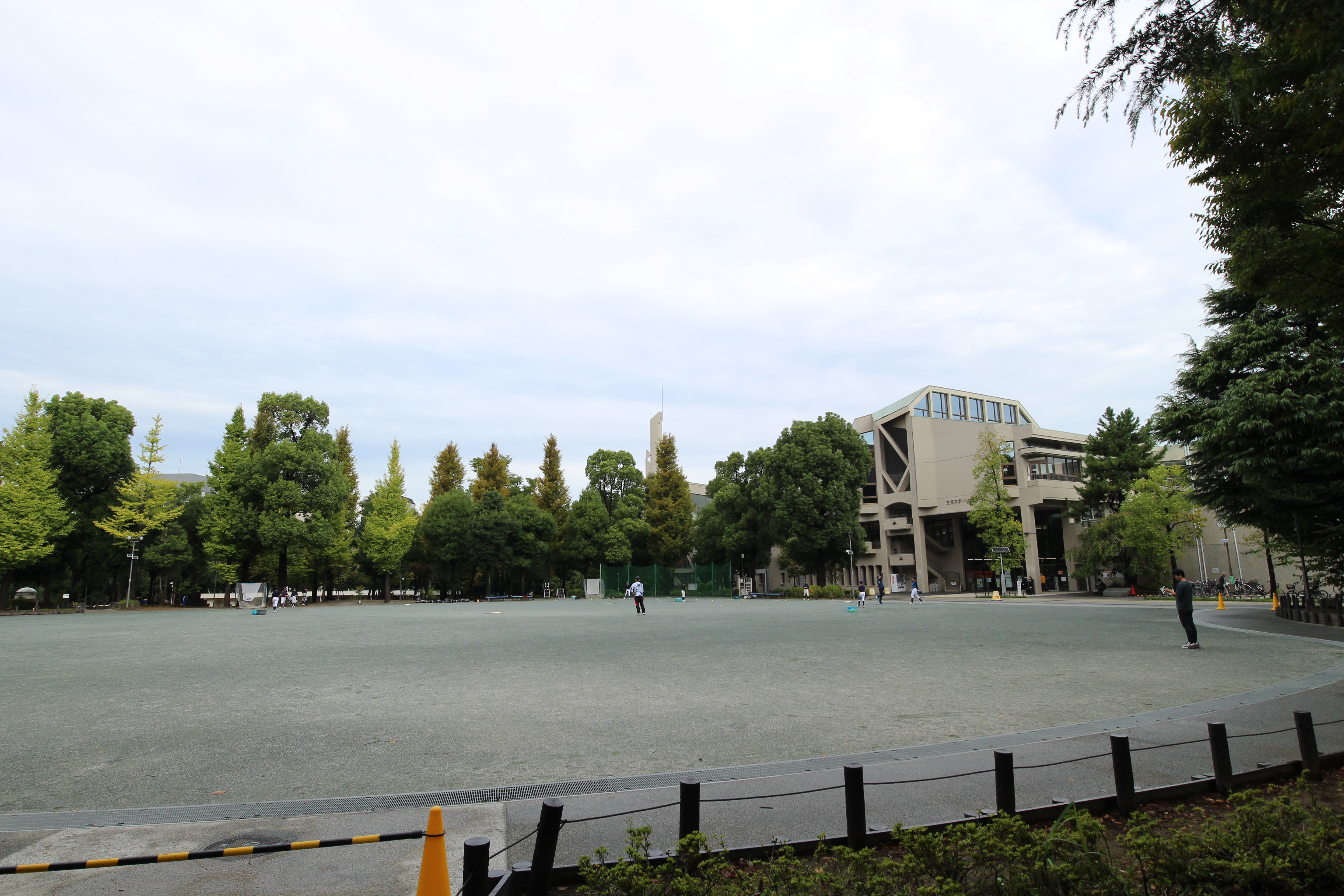 サンフォレスタ文京大塚 周辺画像9