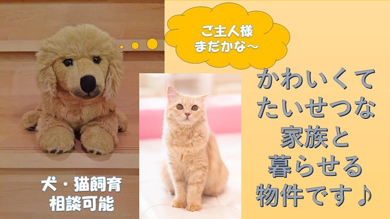 小川5224貸家 その他