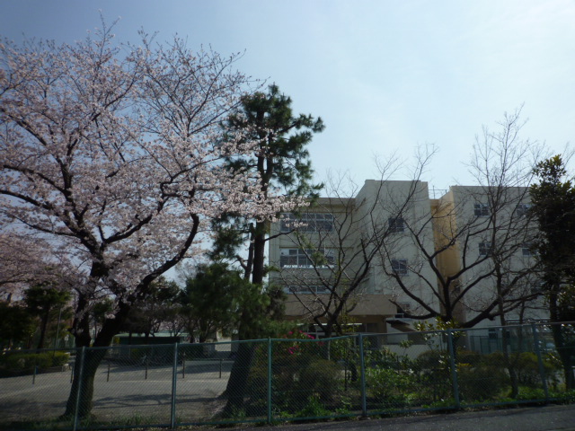 アルムヒルズ 小学校
