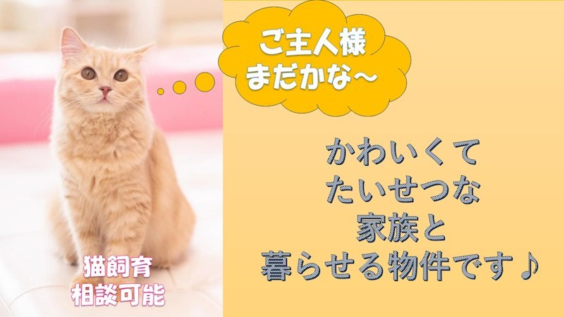 ウインディアＮ1 その他