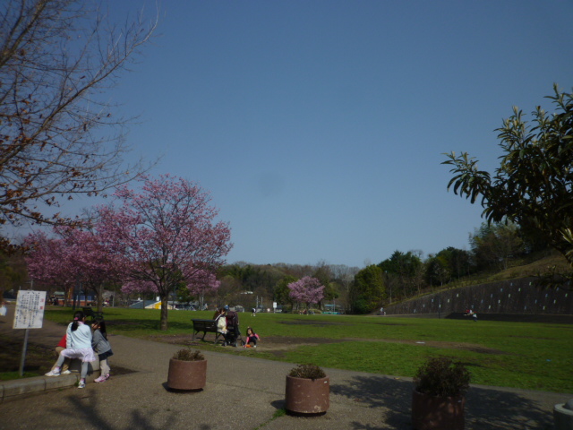 メゾンドシャルム  公園