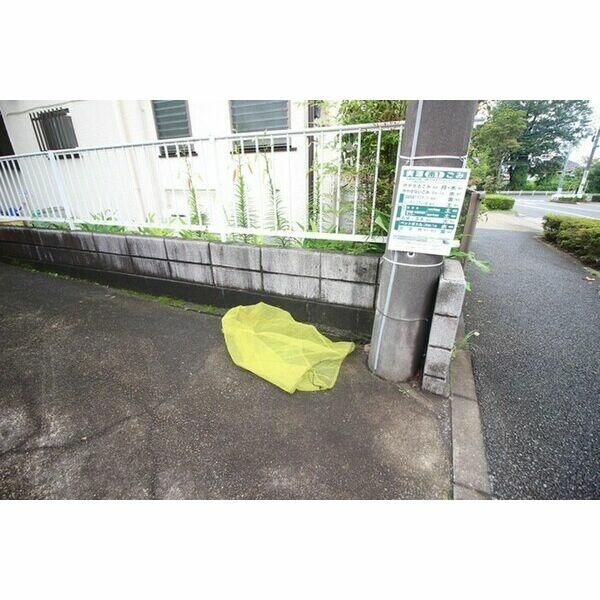 ハイネス その他