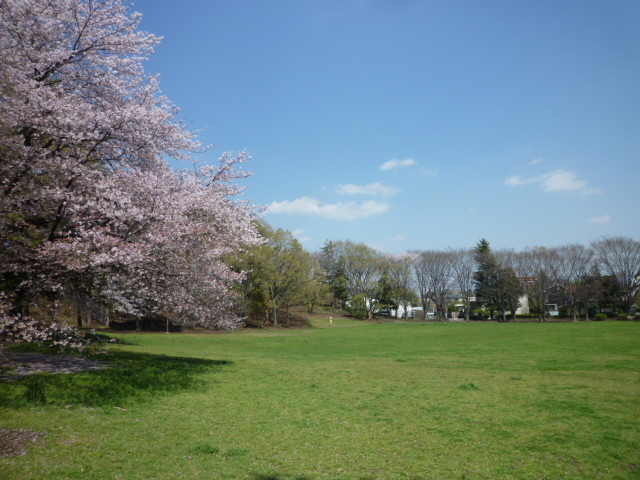 シャルマンすずかけ　Ａ 公園