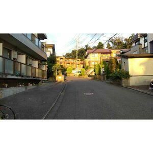 かつらハイツ 駐車場