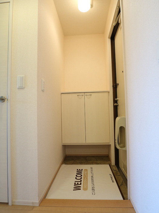 セジュール上鶴間 玄関