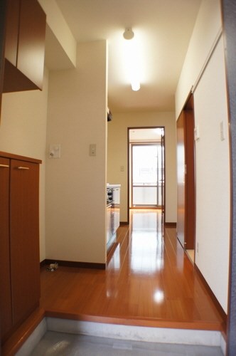 ポポラリタⅡ その他