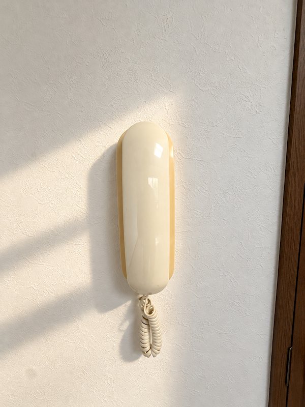 東領家ハイツ セキュリティ