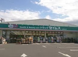 フーズ大谷田駐車場 ドラッグストア