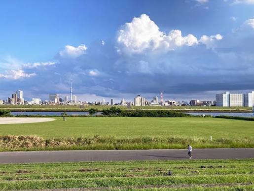 カトレア 公園