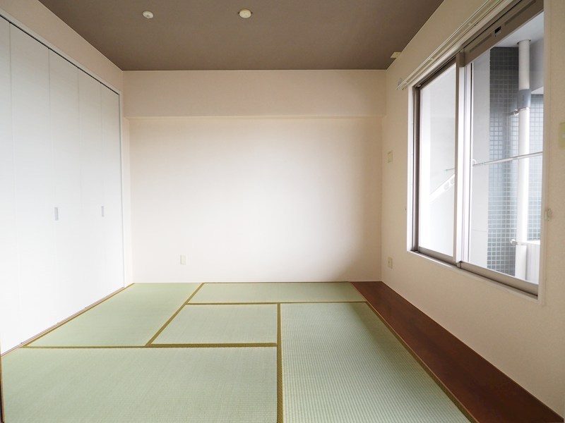 シグナス その他