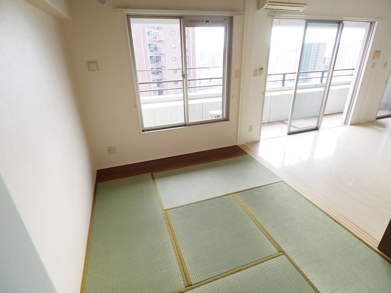 シグナス その他