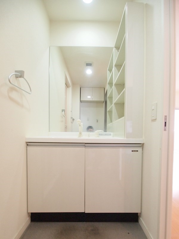 シャトレ大手町N棟 洗面所